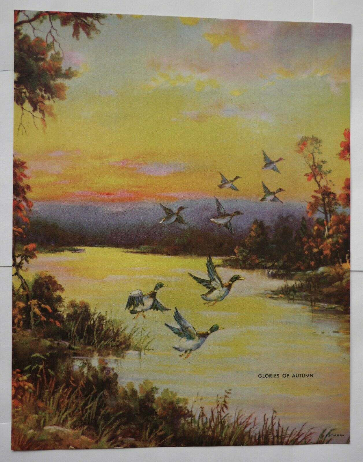Brown & Bigelow Vntge Calendar Litho Print 9.25x7.25" Mallards In Flight, Autumn