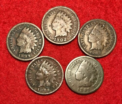 (5) Vintage Indian Head Pennies 1 Cent Us Coins Penny Lot 1880 - 1909 Cull To Ag