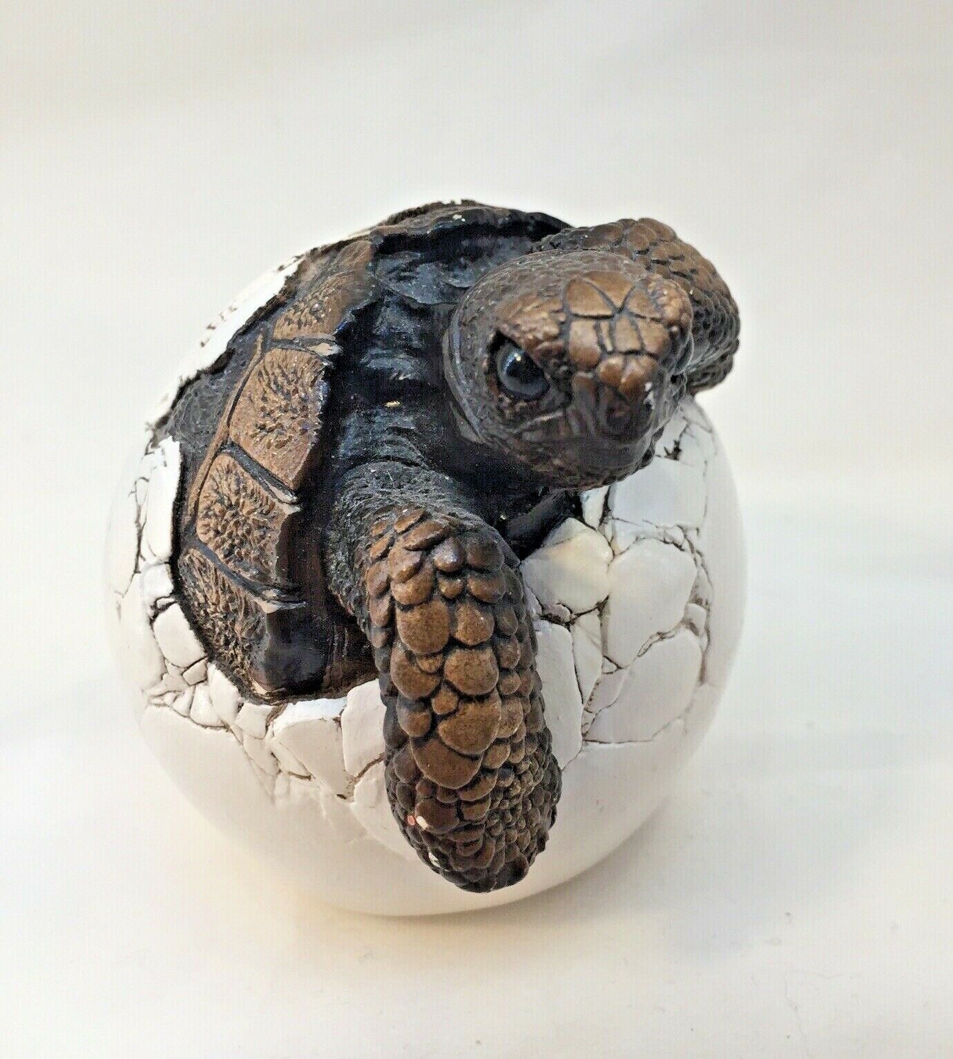 Wind Stone Editions Turtle Hatching From Egg Figurine North Hollywood California